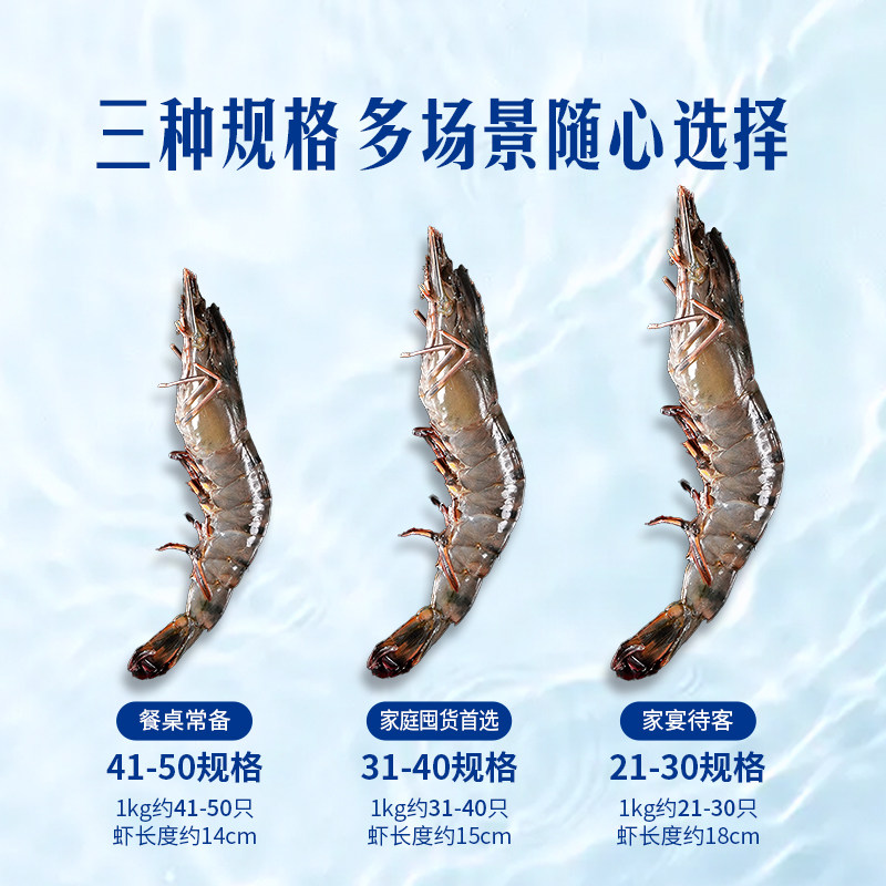 东方甄选泰国黑虎虾活冻斑节对虾大虾进口海鲜生鲜烧烤食材年货