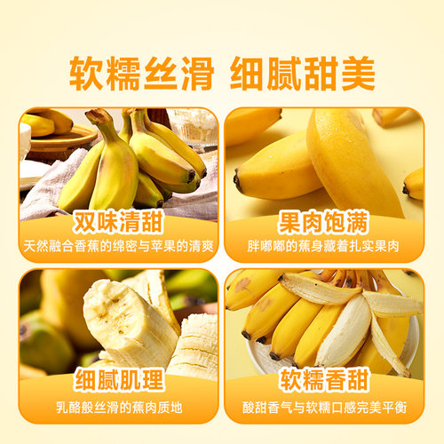 东方甄选苹果蕉香蕉软糯当季新鲜热带水果时令农产品中秋送礼佳品 - 图1