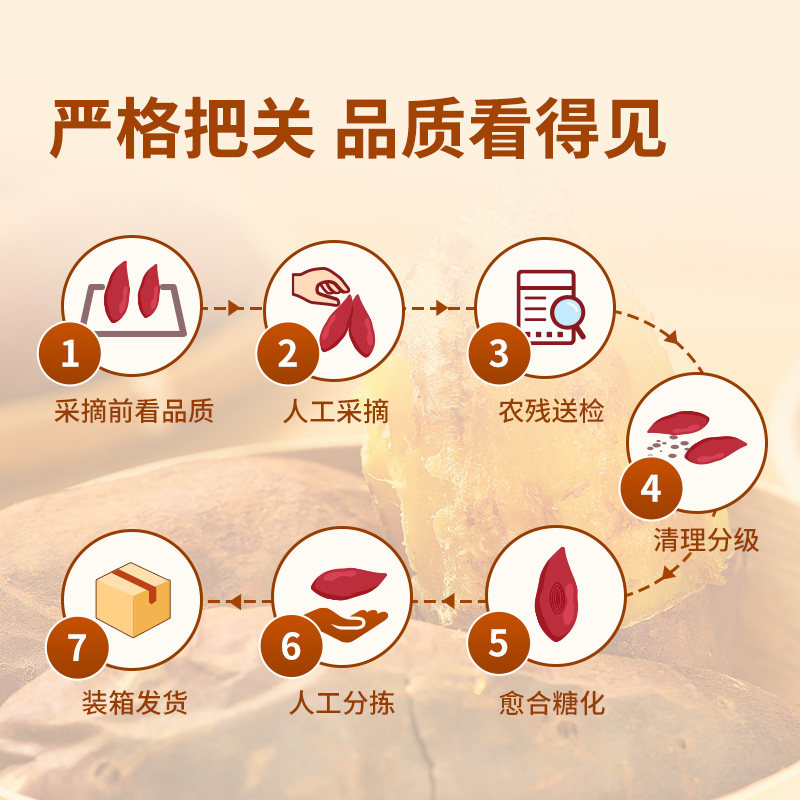 东方甄选蜜香禾薯黄心地瓜红薯蜜薯香甜番薯当季新鲜时令蔬菜顺丰