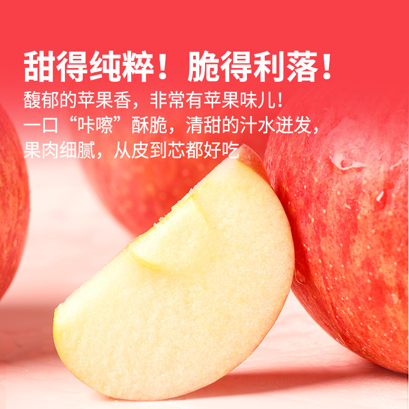 东方甄选洛川苹果水果新鲜当季整箱时令生鲜脆甜多汁过年年货