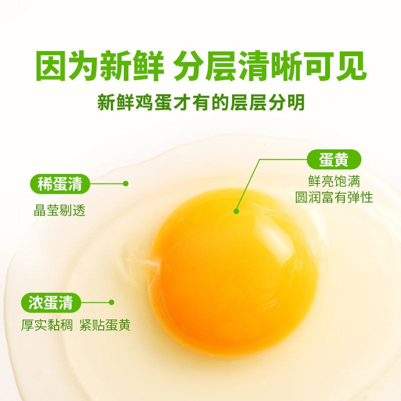 东方甄选大码鸡蛋新鲜可生食谷物生鲜鸡蛋早餐营养健康食品