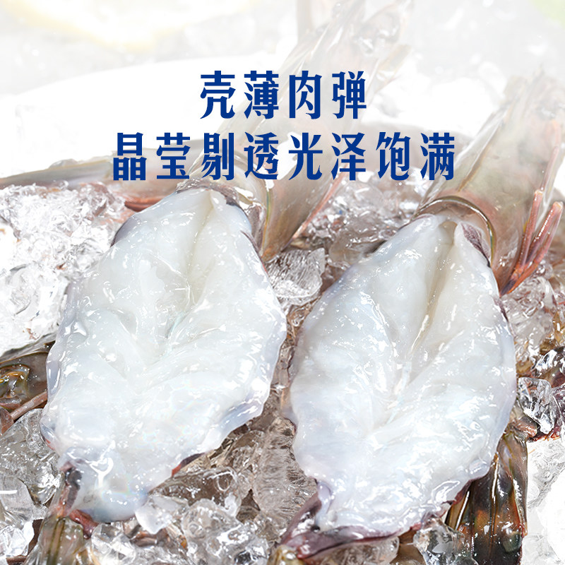 东方甄选泰国黑虎虾活冻斑节对虾大虾进口海鲜生鲜烧烤食材年货