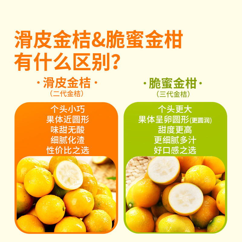 东方甄选金桔鲜果蜜桔产自广西融安桔子新鲜当季时令应季水果整箱