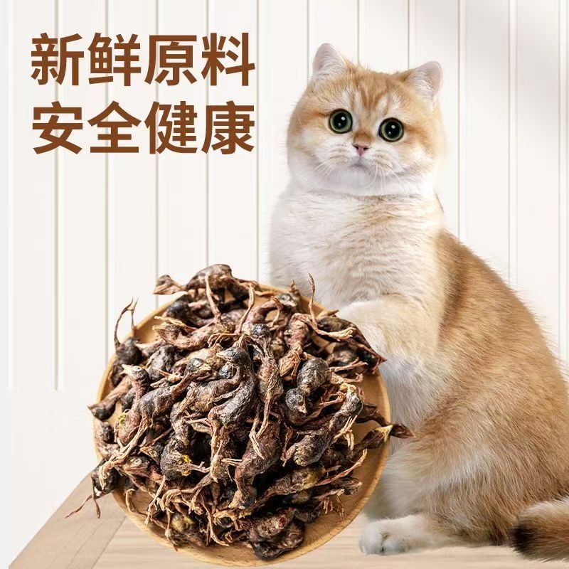 冻干小鹌鹑宠物猫咪零食鹌鹑狗狗磨牙洁齿增肥长肉宠物肉干 - 图1