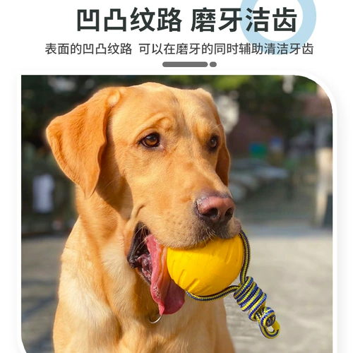 Игрушка для собак, измельчение зубов зубов и облегчение душных артефактов у крупных собак, золотые ретрадолазонские игрушки летающие поднос