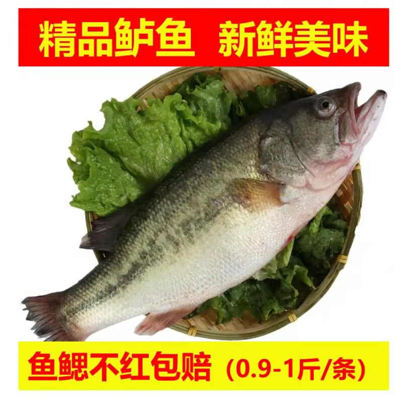 鱼鳃 Top 500件鱼鳃 22年11月更新 Taobao