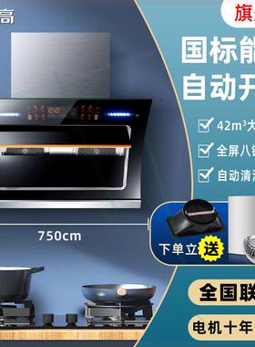 ,志高油烟机双电机家用抽油烟机厨房侧吸变频抽烟机小型自动清洗B