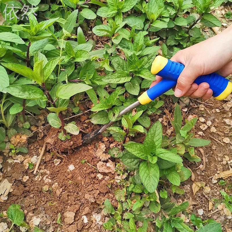 货】挖荠菜公英铲栽花挖蒜铲挖铲铁【48小时发蒲子铲子野菜子铲子 - 图2