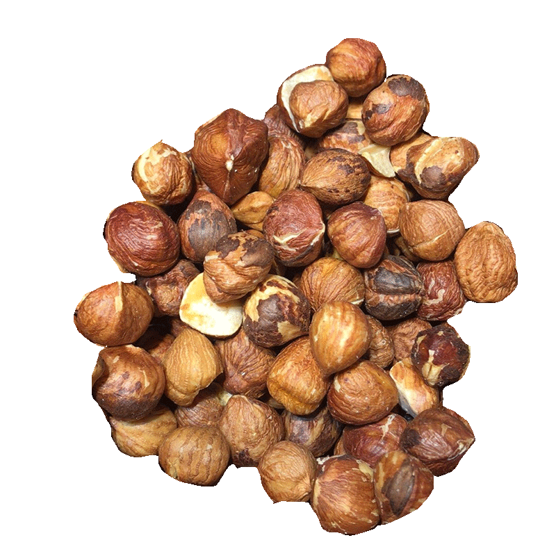 Shenshan n ° 1 nord-est Little Xing'anling Yeshan Hazelnut Nuts noix