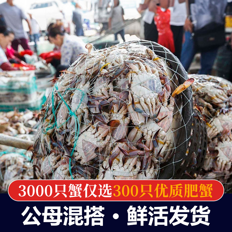 限地区 鲜仁源 新鲜海捕梭子蟹 3斤 天猫优惠券折后￥89起顺丰包邮（￥99-10）多规格可选