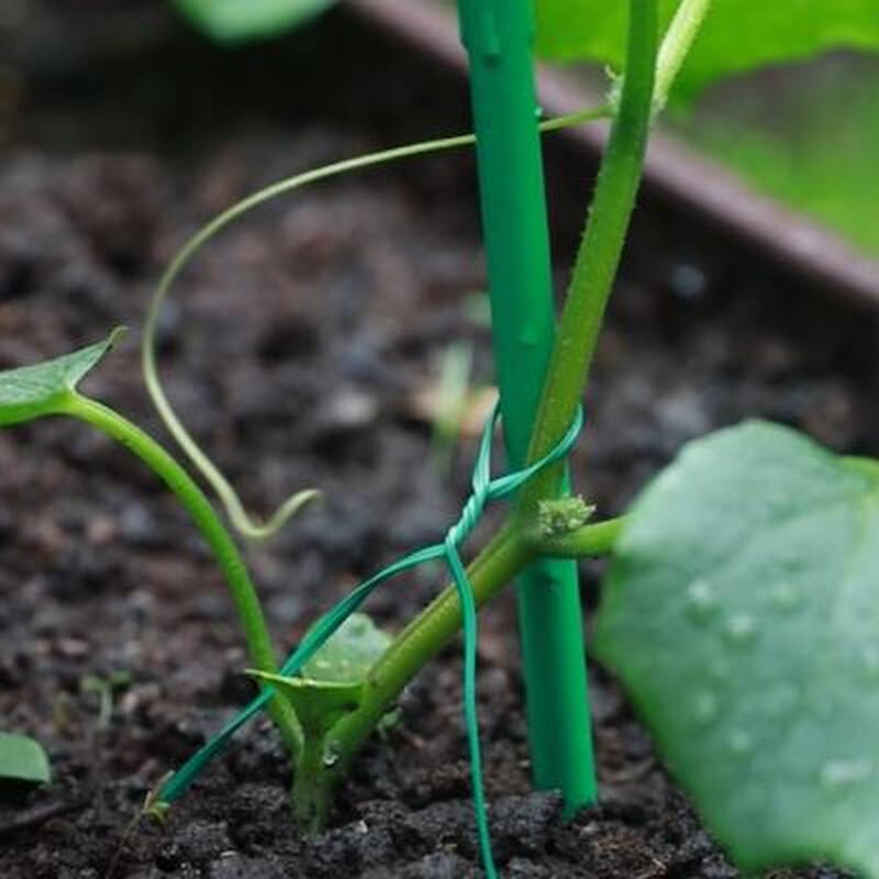 植物固定园艺扎线捆扎器铁丝扎带花支架支撑绑扎花艺花架绑花架子 - 图1