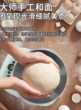 和面机揉面全自动家用小型多功能