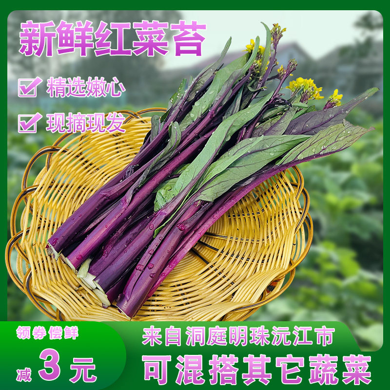 湖南洞庭湖红菜苔新鲜打霜青菜霜冻菜心自种本地苔子菜助农蔬菜