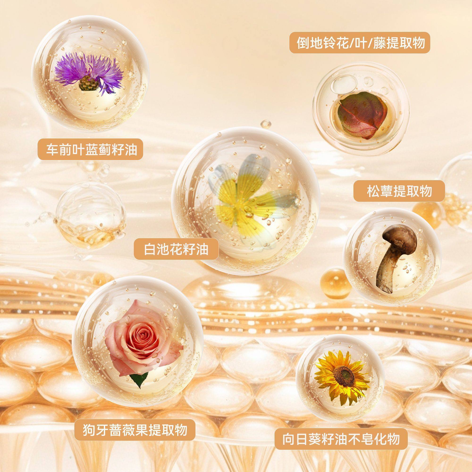 桃又野大光圈柔光气垫粉底液BB霜控油遮瑕不脱妆持久保湿自然哑光,淘宝优惠券,粉丝福利购,淘宝优惠卷