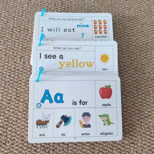 英语单词卡片sight words220页高频词启蒙翻翻卡宝宝玩具点读闪卡 - 图0