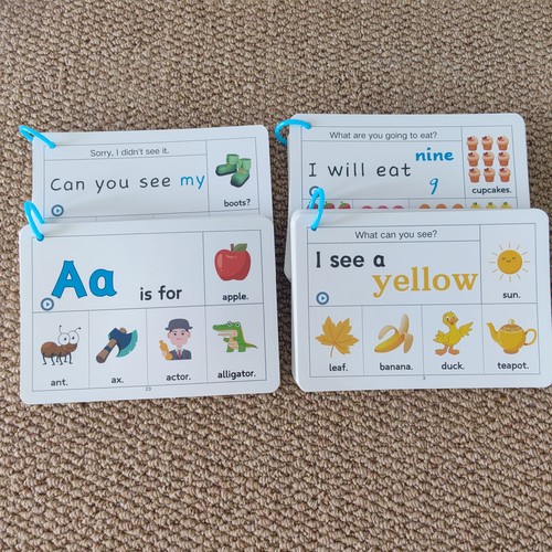 英语单词卡片sight words220页高频词启蒙翻翻卡宝宝玩具点读闪卡 - 图2