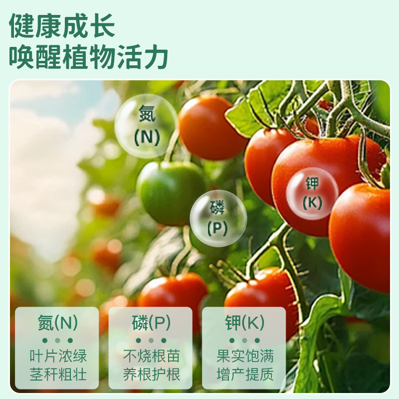 生物有机肥料花肥氮磷钾肥料蔬菜专用家用盆栽花卉绿植通用复合肥,淘宝优惠券,粉丝福利购,淘宝优惠卷