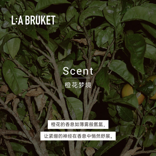 【新品上线】L:A BRUKET 311晚安润唇膏14g 橙花香滋润唇膏 - 图1