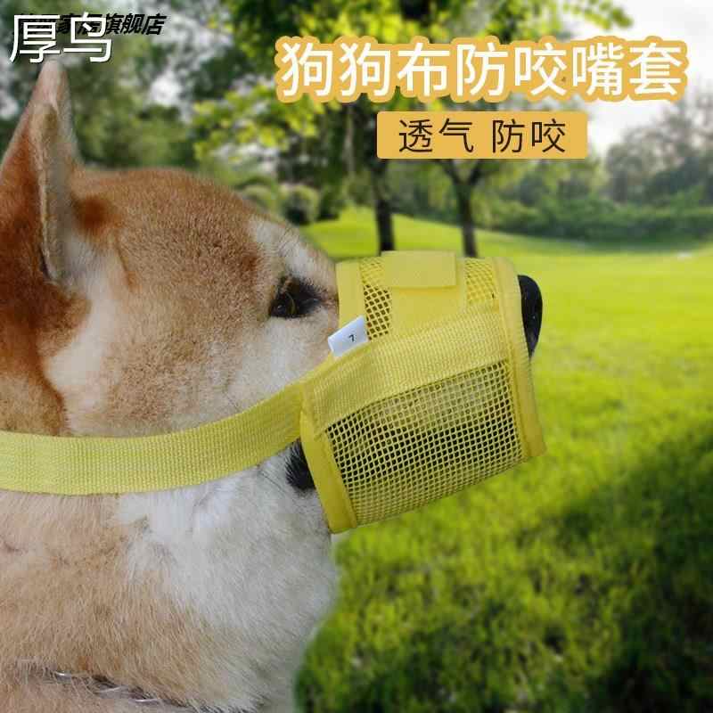 犬口套 新人首单立减十元 22年8月 淘宝海外