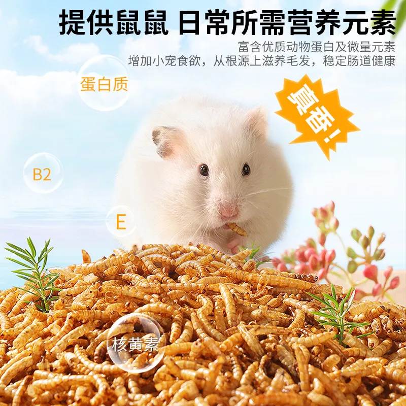 布卡星八哥面包虫干鸟粮乌龟刺猬仓鼠零食用品芦丁鸡鸟食饲料,淘宝优惠券,粉丝福利购,淘宝优惠卷