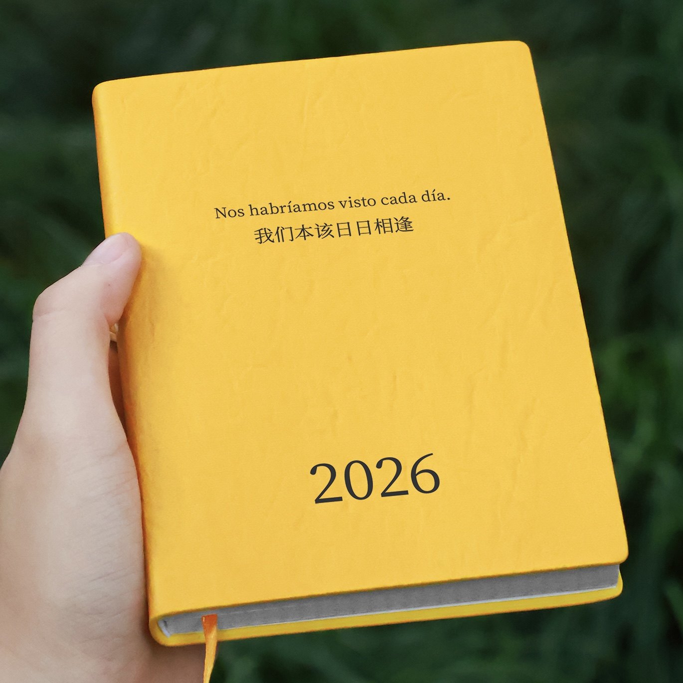 PoemsForYou原创诗歌手账本2026年日程本两日一页便携口袋本A6笔记本计划本高颜值生日礼物女生新年礼物,淘宝优惠券,粉丝福利购,淘宝优惠卷