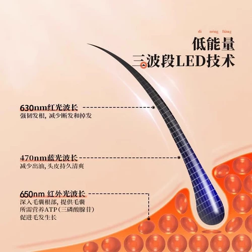 Уход за волосами инфракрасные электрические лазерные портативные портативные мужчины и женские волосяные фолликулы Уход