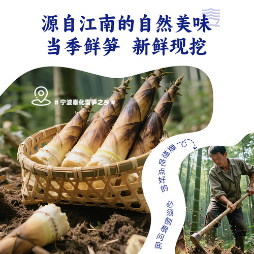 三关六码头宁波特产奉化油焖笋罐头春雷笋配粥小菜下饭开胃菜即食 - 图0