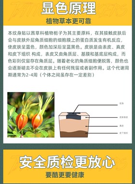 潮流新品60张草本纹身贴半防水持久真高级感男女ins风果汁纹身贴