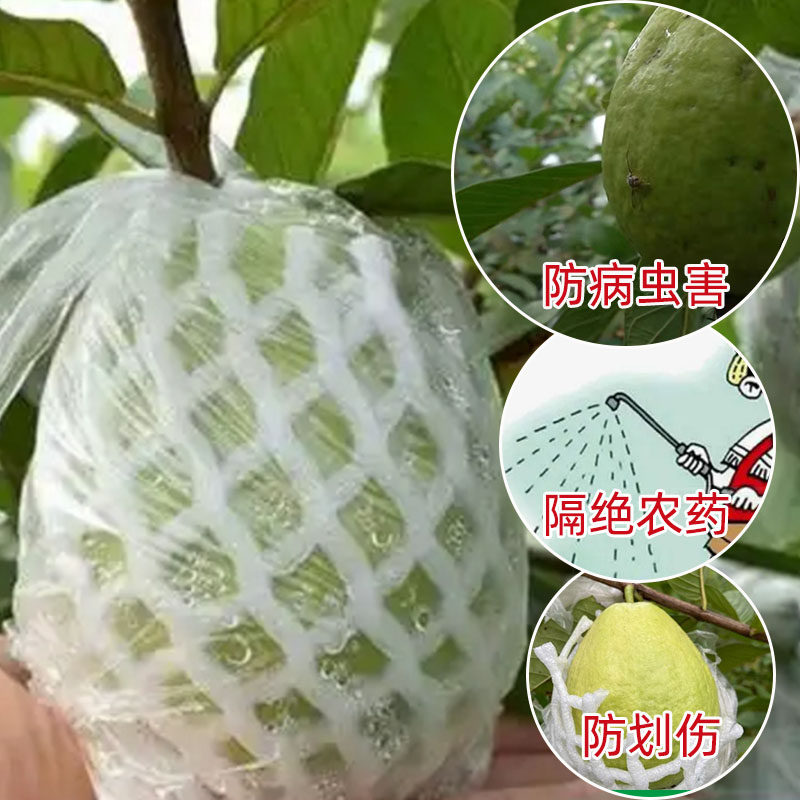 芭乐防虫网袋番石榴套袋网袋专用一体泡沫包装袋番石榴袋水果网套