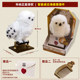 Harry Potter toys can move and call owls