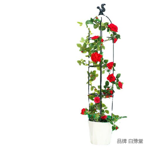 园艺藤本月季爬藤支撑架玫瑰盆栽花架 植物U型爬藤架支架支柱 - 图3
