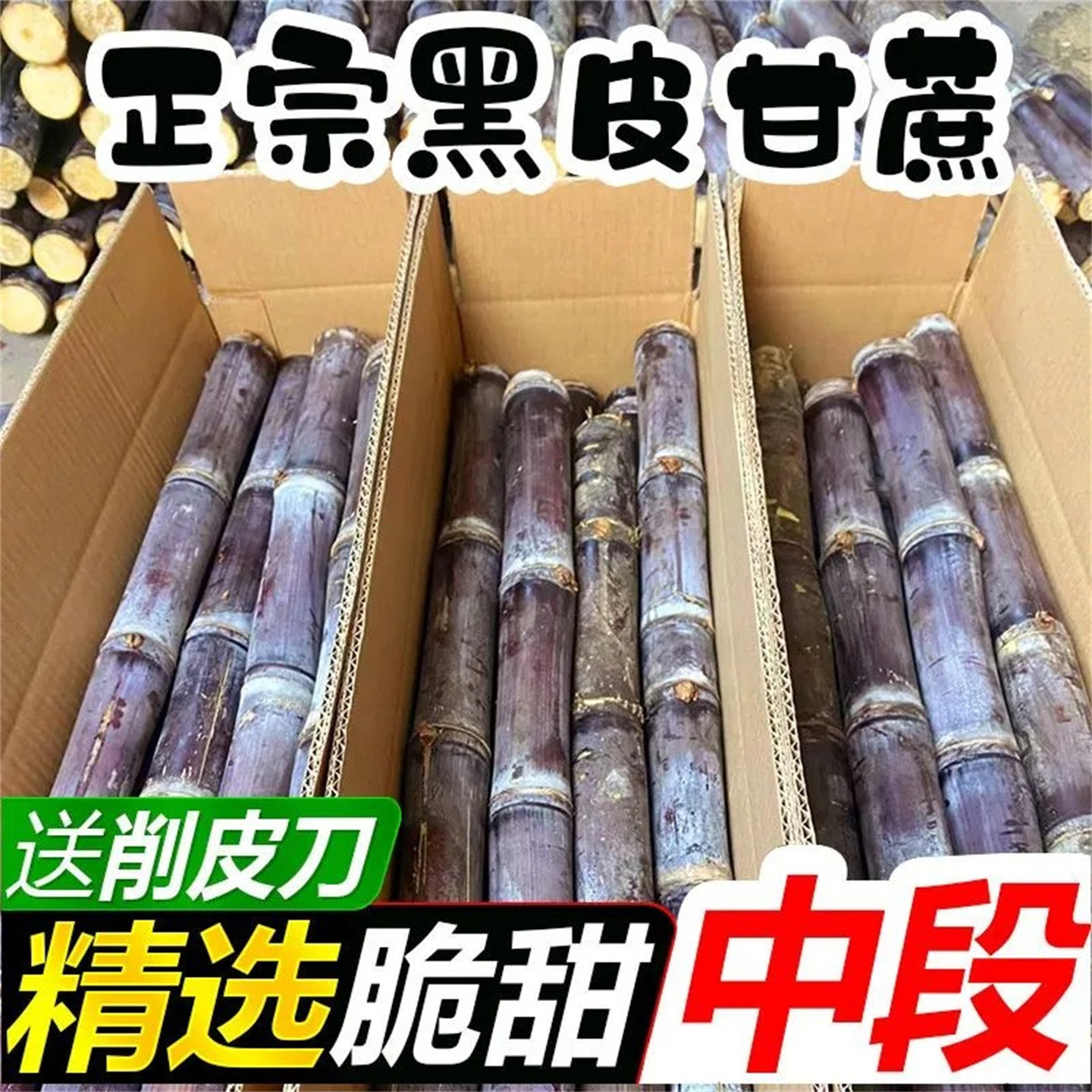 正宗广西黑皮甘蔗新鲜一级批发水果新鲜当季整箱中段品质鲜甘蔗,淘宝优惠券,粉丝福利购,淘宝优惠卷