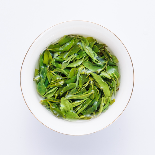 山东日照绿茶2026新茶特级茶叶礼盒装春茶高山栗香豆香官方旗舰店 - 图1