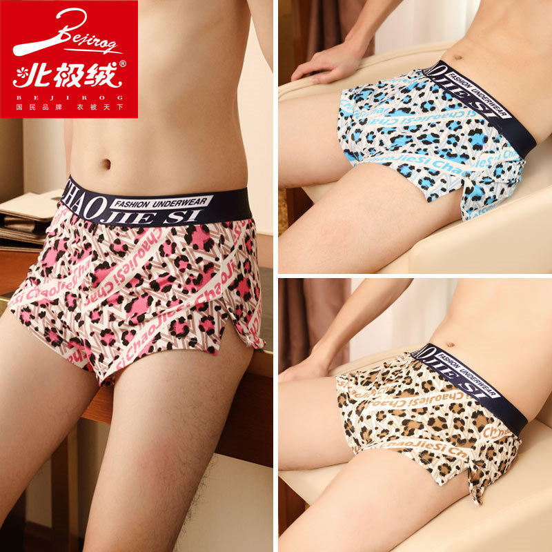 北极绒男平角裤夏季青年运动感短裤 北极绒千汇男平角内裤