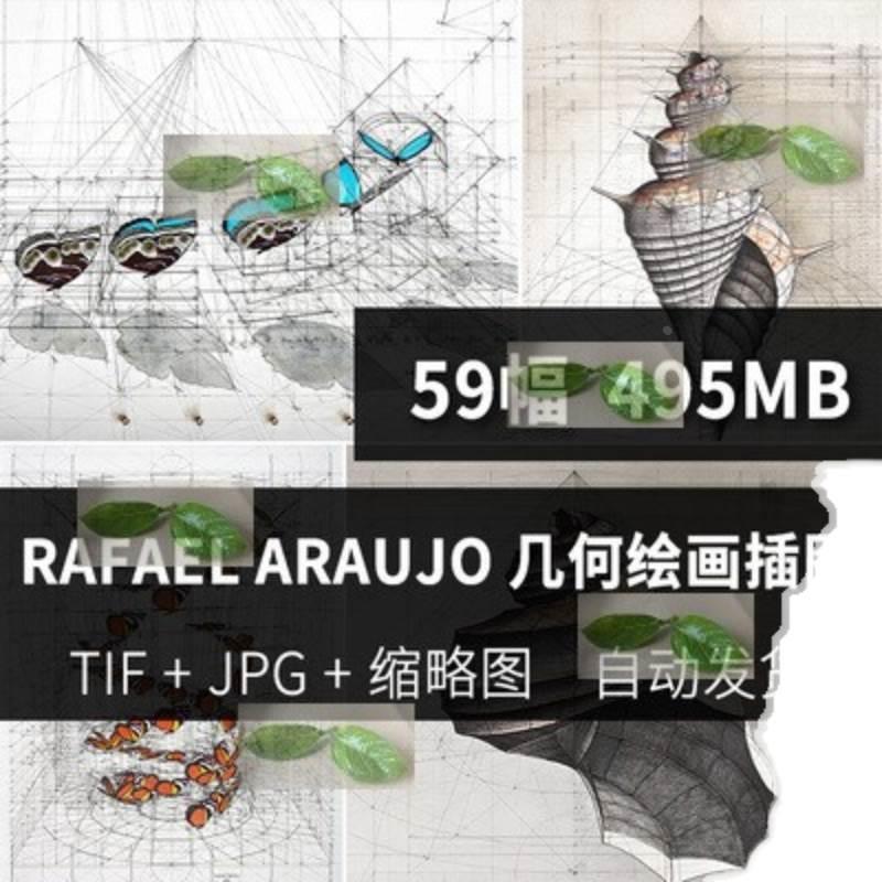 Rafael Araujo几何绘画黄金分割数学之美蝴蝶海螺高清电子版素材 - 图0