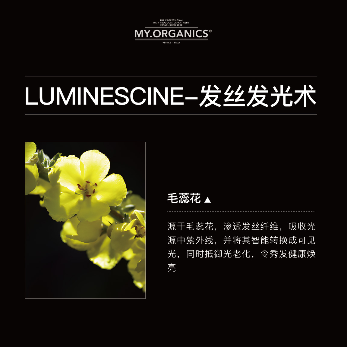 myorganics有机纯净洗发水温和洁净水润修护舒缓头皮抗老滋养发丝