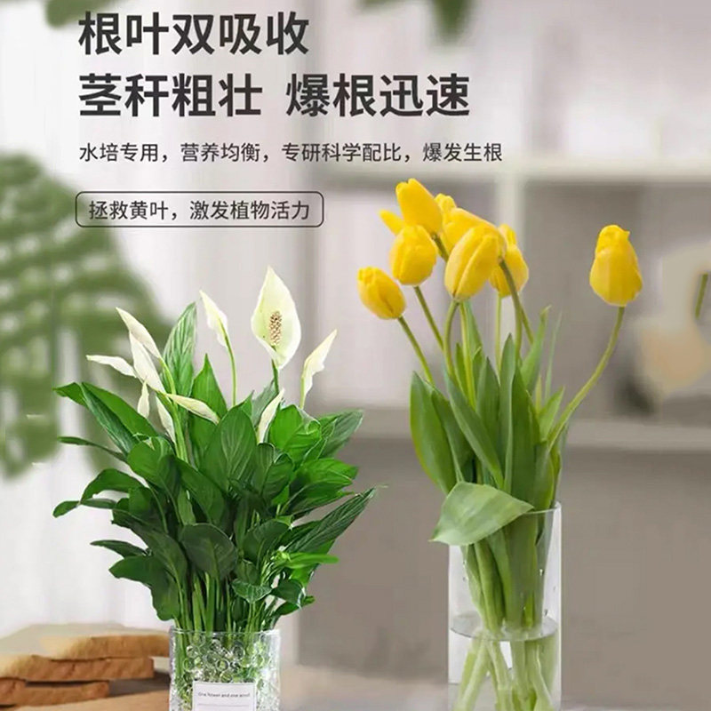 水培植物营养液通用型碗莲睡莲专用观音竹富贵竹郁金香铜钱草绿萝,淘宝优惠券,粉丝福利购,淘宝优惠卷