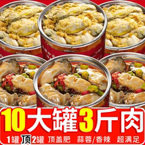 Garlic Paste Spicy Raw Oyster Canned Big Jar Ready-to-eat Seafood Combine Cooked Food Fresh Fans Sea Oysters Whole Boxes With Fish