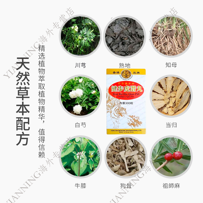 香港进口同仁健步虎潜丸300粒强壮筋骨腰腿酸痛活络风湿虎潜丸