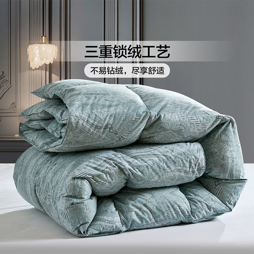 富安娜家纺羽绒被95白鹅绒保暖加厚被子冬被芯羽绒鹅绒被冬季被褥 - 图3