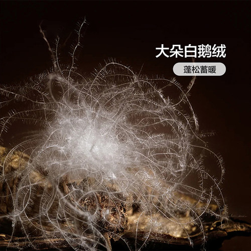 富安娜家纺羽绒被95白鹅绒保暖加厚被子冬被芯羽绒鹅绒被冬季被褥 - 图0