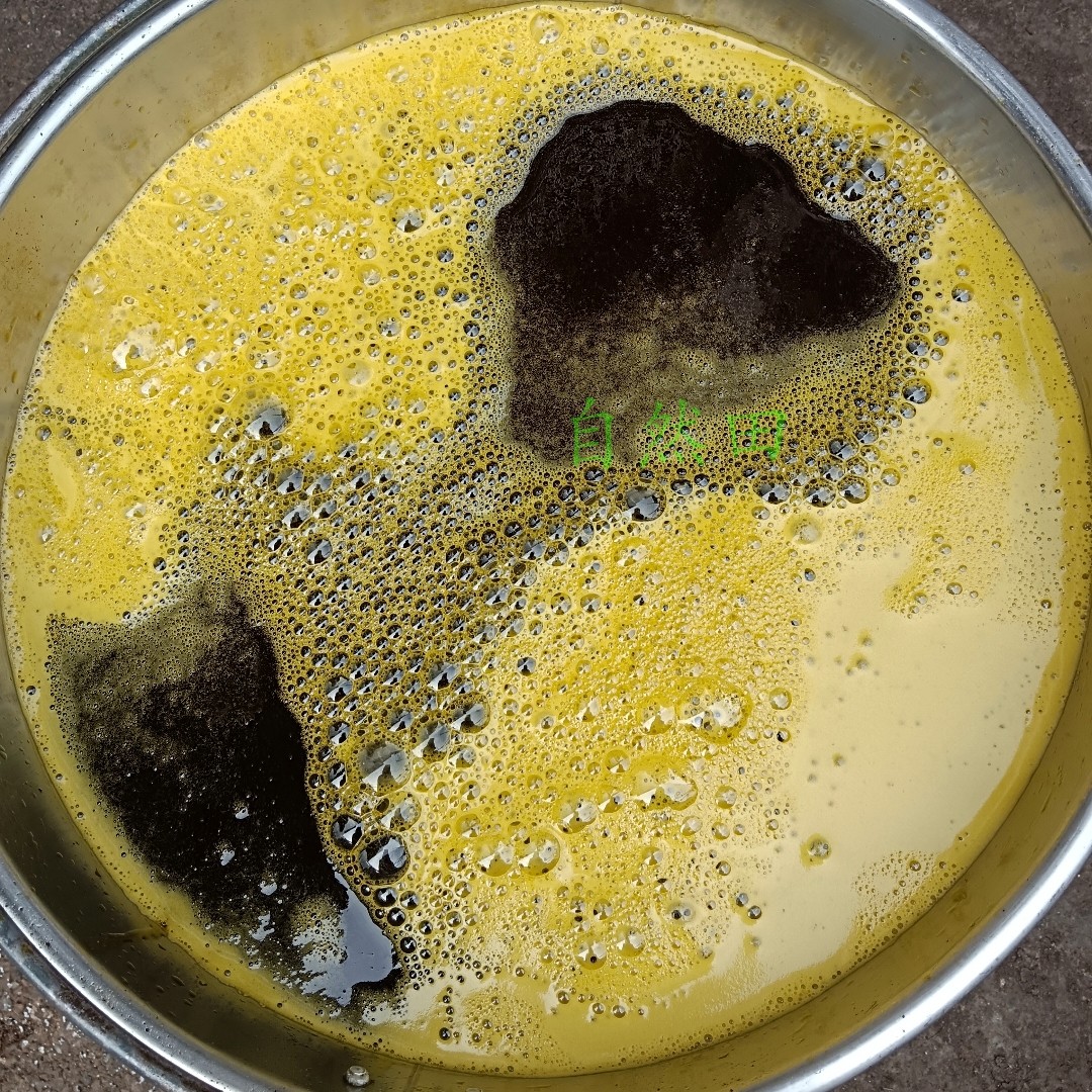 四川老品种黄油菜籽农家种植自留老品种喂鸟食鸽子粮老式非转