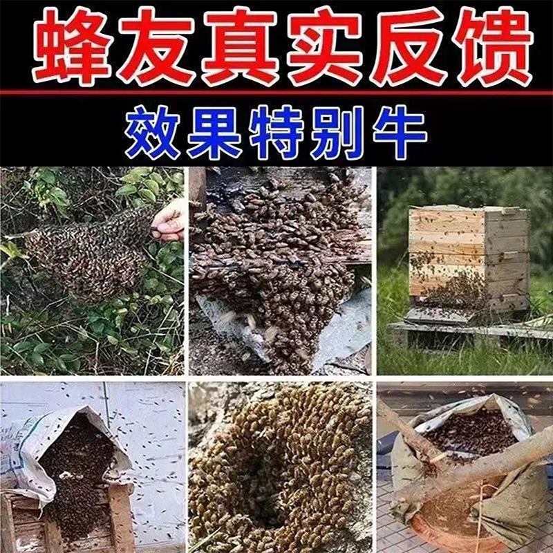 【一天能诱10000只】超声波强效引蜂神器诱蜂王土蜂马蜂蜜蜂专用