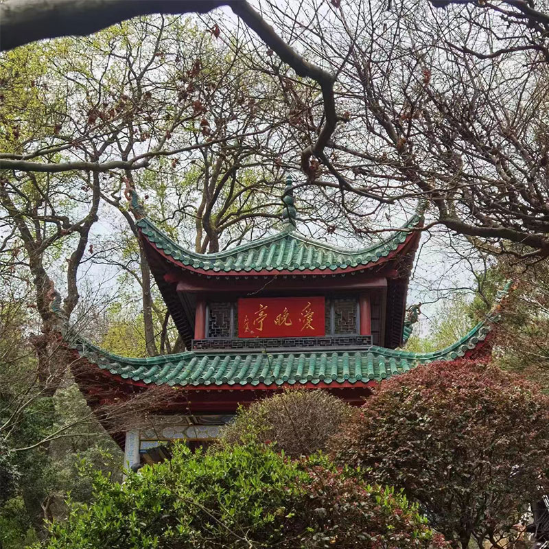 湖南长沙旅游一日游2-15人小团湖南博物馆岳麓书院橘子洲湘江游轮 - 图3