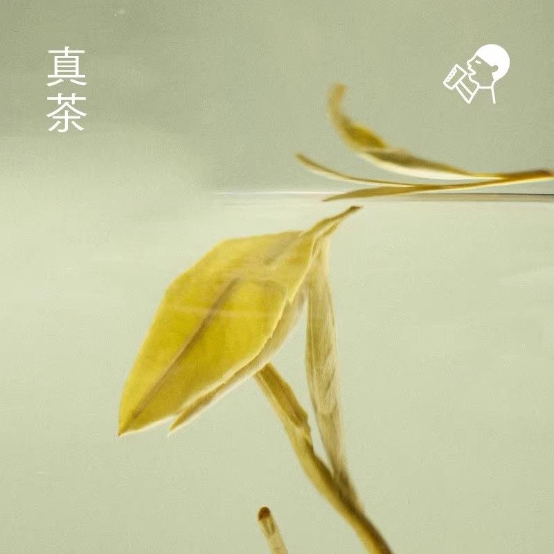 喜茶牛乳茶奶茶饮品350ml瓶装茉莉浓抹小奶茉网红休闲下午茶饮料,淘宝优惠券,粉丝福利购,淘宝优惠卷