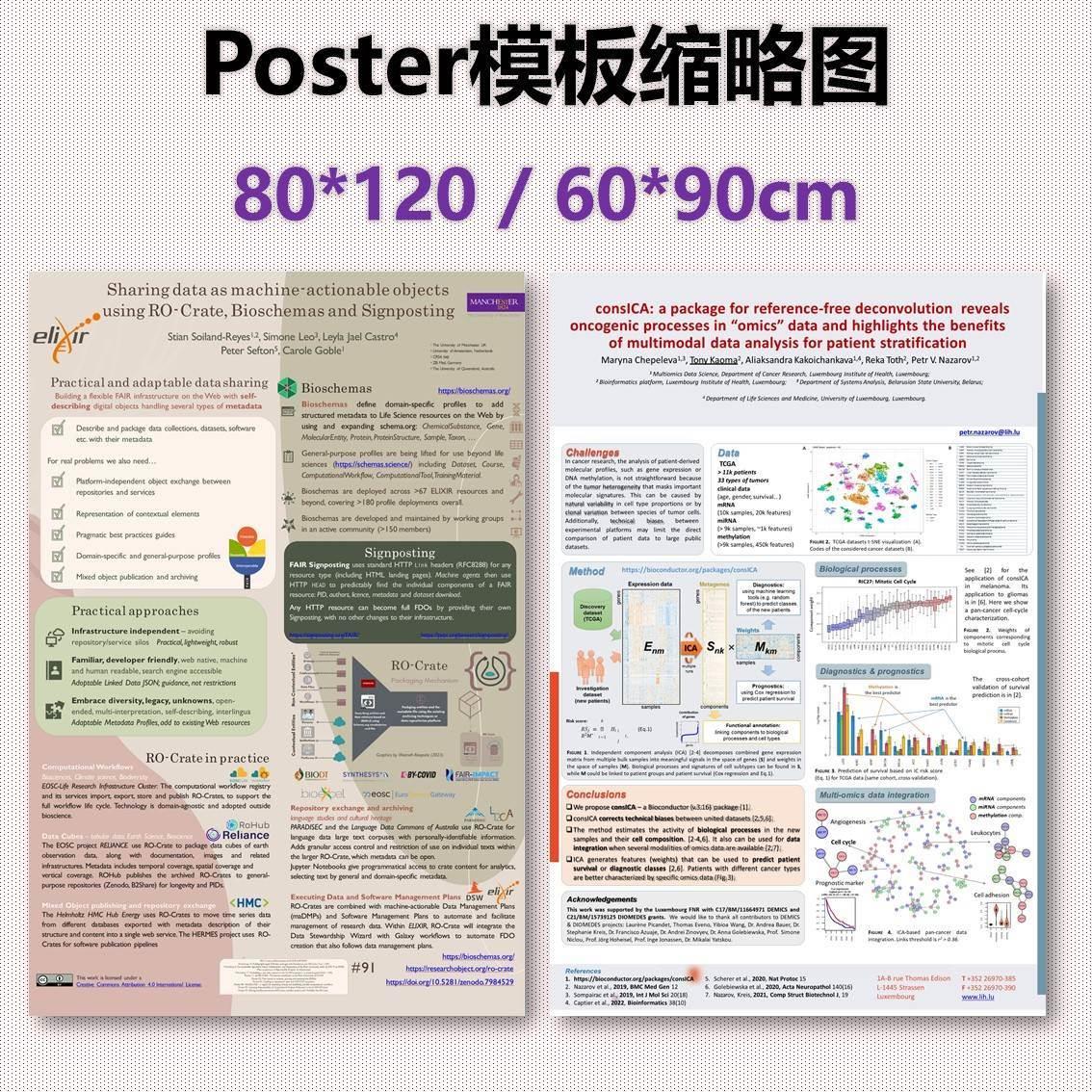 学术poster海报壁报墙报模板80*120 60*90 ppt格式竖版15个 - 图1