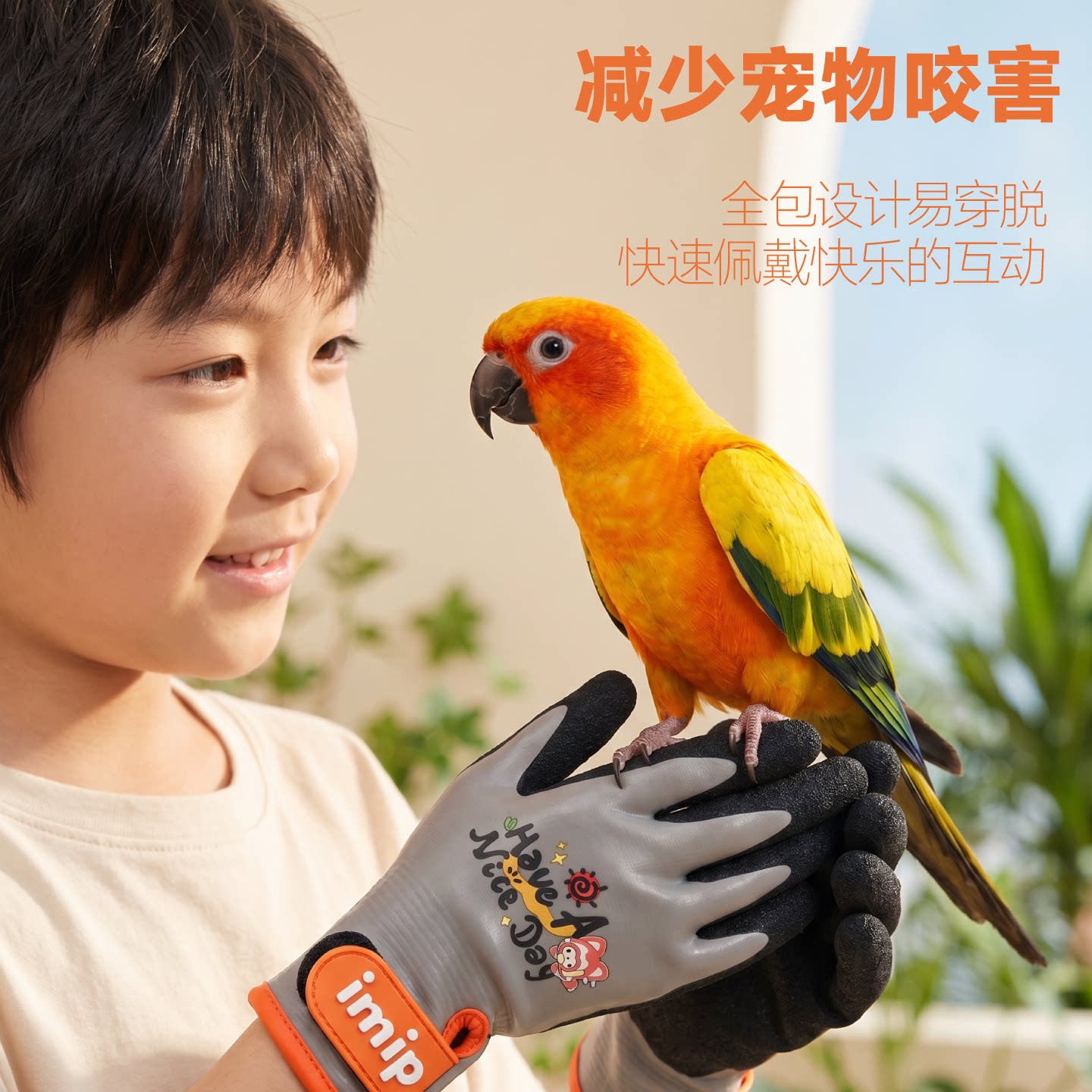 图5