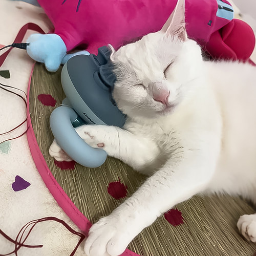 宠物头部按摩仪器电动按摩仪撸猫梳毛神器狗狗痒痒挠灵魂提取器 - 图3