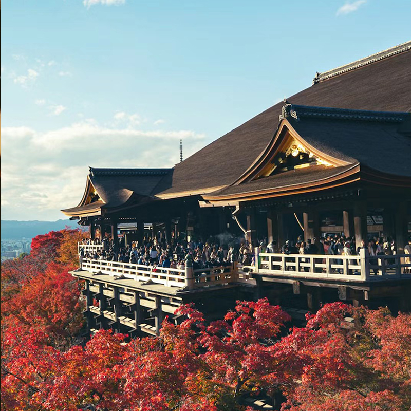 【含机票】日本旅游团跟团6日本州东京大阪京都奈良有马温泉签证 - 图2