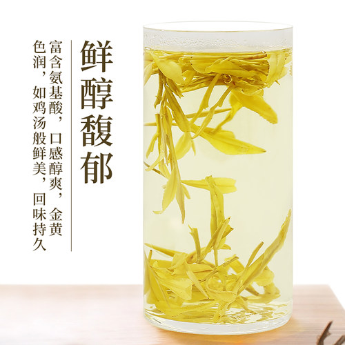 黄金芽2026新茶茶叶自己喝绿茶明前浓香型春茶礼盒装浙江安吉一级 - 图2
